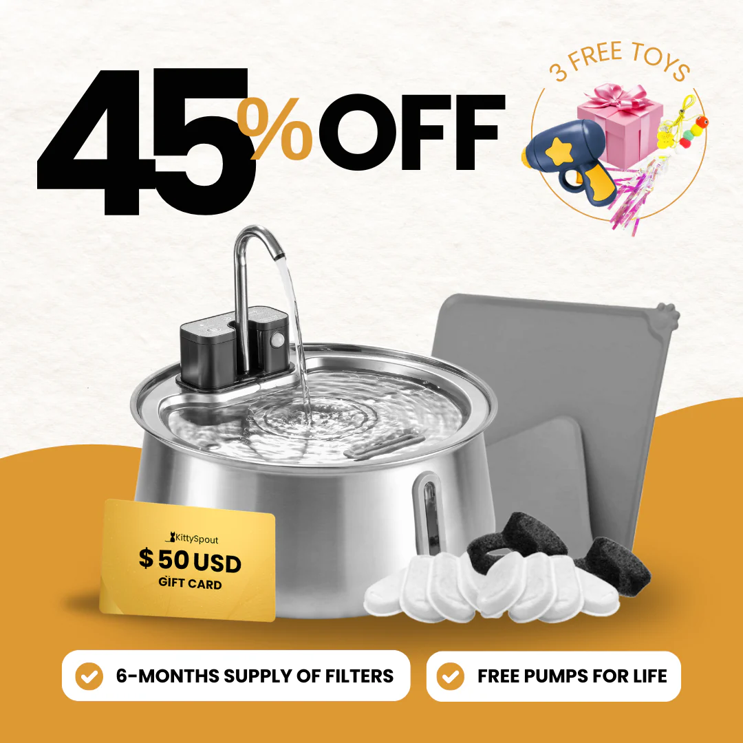 Int'l Women's Day Sale